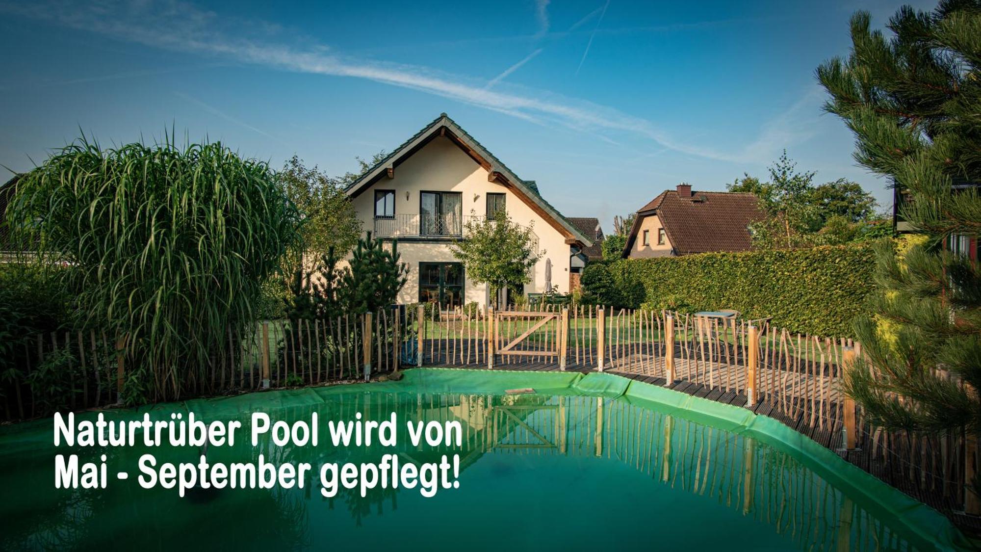 Ferienhaus Mountfrosch Mit Sauna Und Naturpool Monschau Bagian luar foto